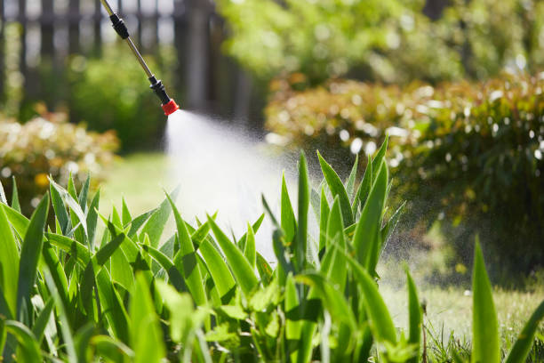 24/7 Emergency Mosquito Control experts in Pearl River, LA